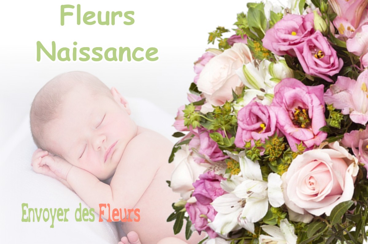 lIVRAISON FLEURS NAISSANCE à SPERACEDES